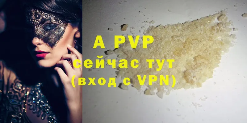 сколько стоит  Чехов  shop официальный сайт  A-PVP крисы CK 