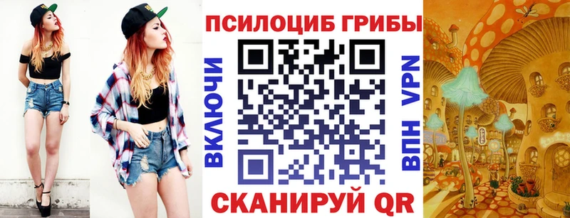 кракен сайт  Чехов  Галлюциногенные грибы GOLDEN TEACHER  shop телеграм  даркнет сайт 