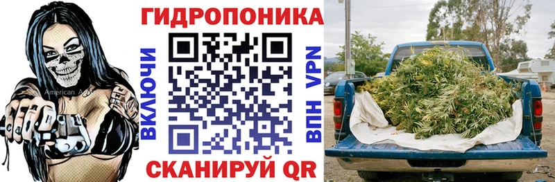 как найти наркотики Чехов OMG ссылки Марихуана гибрид